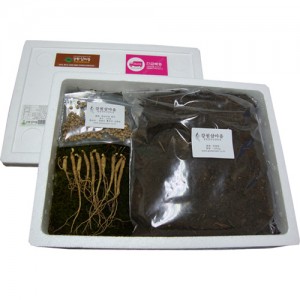 산양삼 심기체험세트(종묘10주, 종자10g)