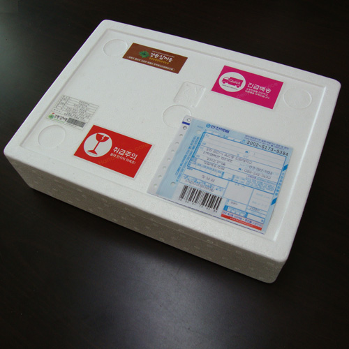 산양삼 심기체험세트(종묘20주, 종자20g)